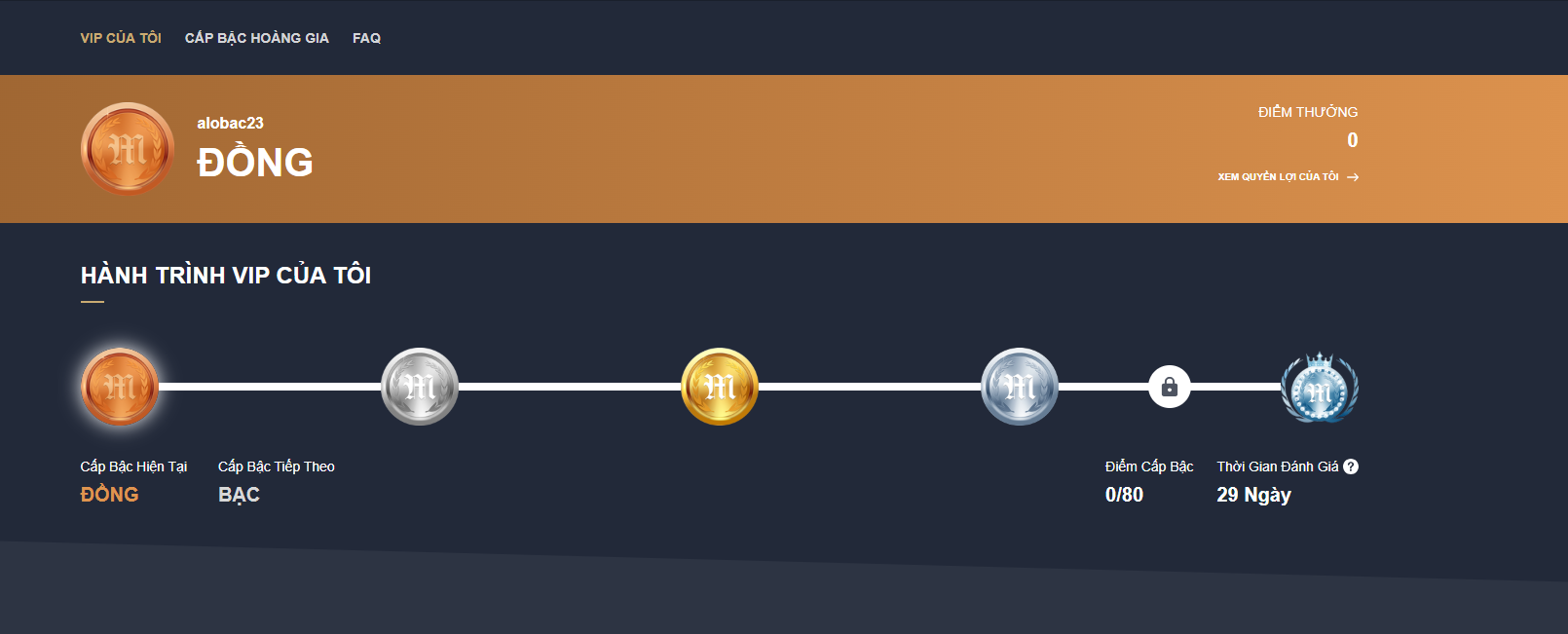 Chương trình VIP hấp dẫn